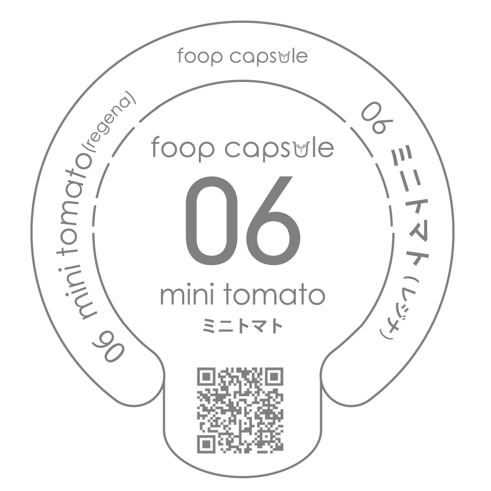 ミニトマト10個セット ミニトマト10個セット